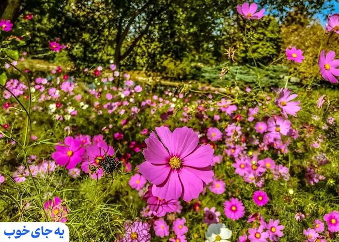 نقشه باغ گیاهشناسی تهران